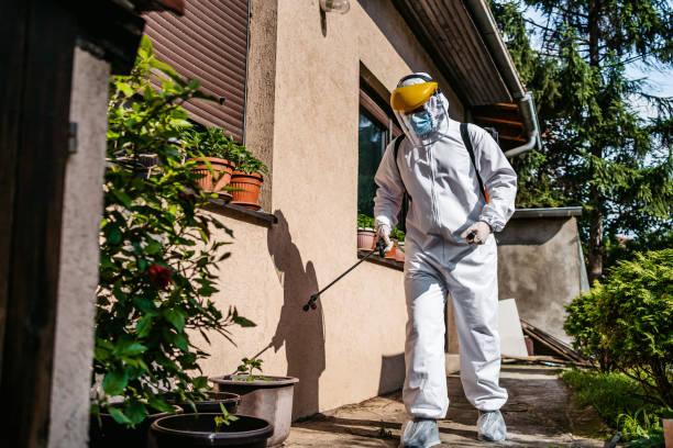 Best Termite Control Services  in Baytown, TX