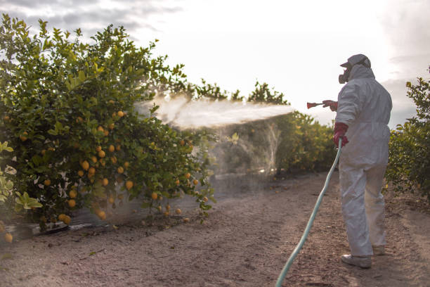 Best Pest Prevention Services  in Baytown, TX