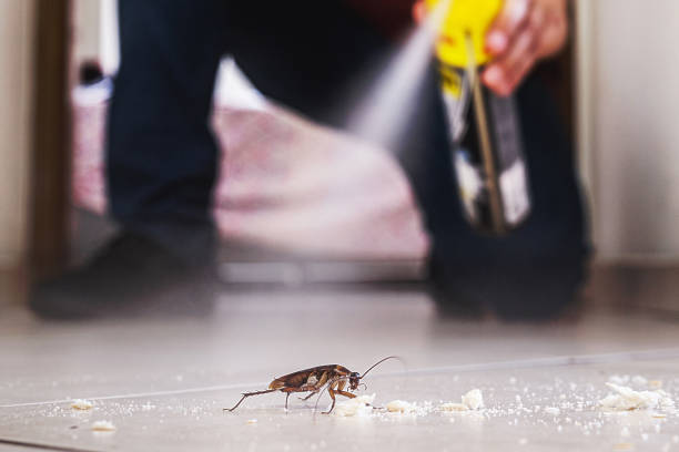 Professional Pest Control in Baytown, TX
