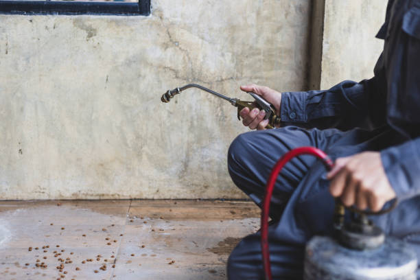 Best Pest Control Near Me  in Baytown, TX