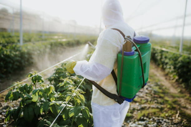 Best Affordable Exterminators  in Baytown, TX